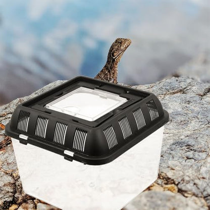 Transparent Reptile Breeding Box with Handle Sturdy Turtle Carrier for Feeding and Transport Wear-Resistant Holder Suitable for Various Reptiles and