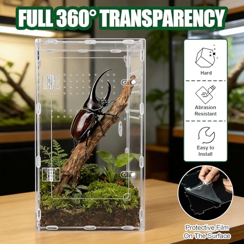 Acrylic Jumping Spider Enclosure, Transparent Reptile Terrarium Enclosure, Small Reptiles Habitat Tank Breeding Box for Tarantula Insect Snake Lizard (13.78 Large) - color: 7.87×7.87×13.78
