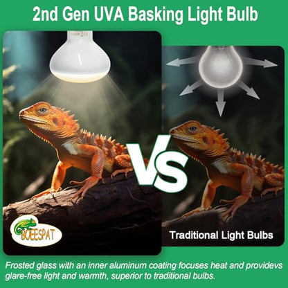 Pack of 2 Reptile Basking Light Bulbs - Incandescent 75W Simulated Sunlight UVA Heat Bulbs for Bearded Dragons, Geckos, Iguanas, Lizards, Amphibians & Small Pets - color: Uva Bulbs (2pcs), size: 75W