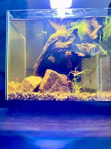 Aqua Natural Aquarium Substrate, Flamingo Gravel, 20lb | For Aquascaping, Aquariums, Vivariums and Terrariums