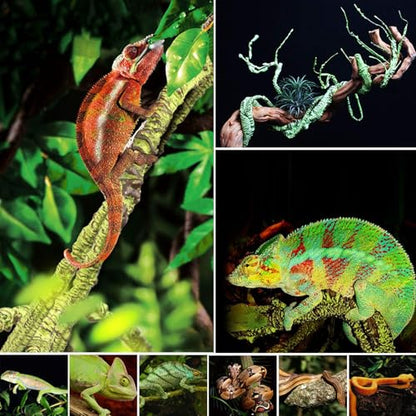 kathson 3 PCS Reptile Vines Plants Flexible Bendable Jungle Climbing Vine Terrarium Plastic Plant Leaves Pet Tank Habitat Decor for Bearded Dragons Lizards Geckos Snakes Frogs and More Reptiles - size: 3 PCS