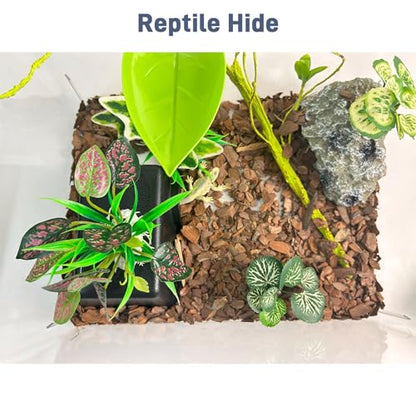 Small 2 Pcs Humid Hideout Cave for Reptiles, Snake Hide for Ball Pythons, Gecko Hide, Leopard Geckos, Bearded Dragons,Compact Terrarium Decor with Easy-Clean Design (6.70"x4.72"x2.56") - size: Small (2 Count)