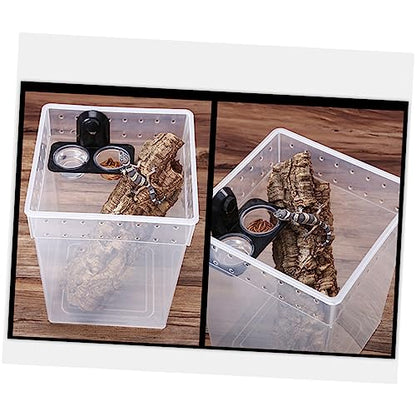 BESPORTBLE Reptile Feeding Container Transparent Breeding Box for Spider Lizard and Tree Pets Ventilated Design Lightweight Easy Assembly Secure Buckles for Safe Transport and Quarantine