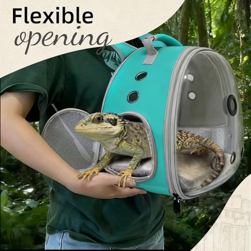 Bearded Dragon Backpack Carrier w/Reptile Thermometer Hygrometer, Clear Bubble Window Astronaut Space Capsule Travel Bag for Leopard Gecko, Ball Python, Lizard, Hermit Crab, Spider, Guinea Pig - color: Green
