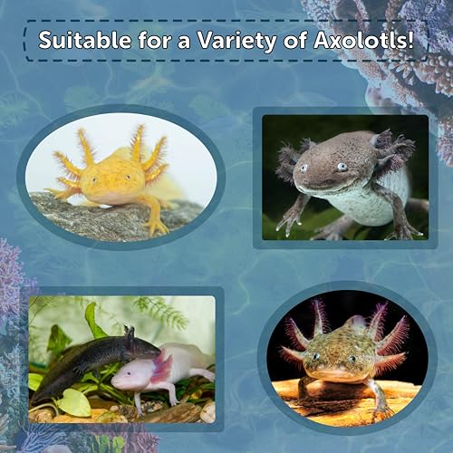 Axolotl Food, 1/4" Soft Moist Sinking Pellets, Rangen's Salmon Meal Pellets for Adult Axolotl. Also Shrimp, Snails, Crabs, Bottom Fish, All Tropical Fish...12oz Small Jar