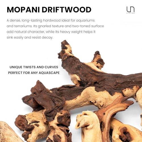 Ultum Nature Systems Driftwood - Mopani Wood - Natural Aquarium Hardscape for Planted Tank Aquascaping - Fish, Crab, Reptile, Bird, Paludarium Enclosure Structure, Terrarium Decor - SM 1Pc, 7-12" - size: 7-12" 1-Pack