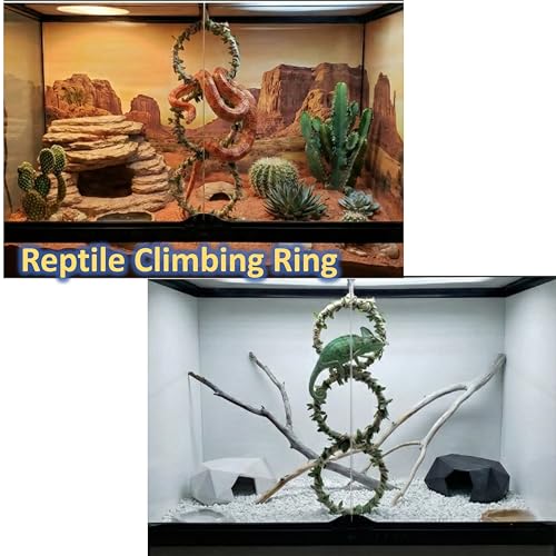 3-Tier Snake Climbing Rings for Ball Python - Natural Jungle Vine Enclosure Accessories, Reptile Habitat Decor, Hanging Enrichment Toys for Corn Snakes, Geckos, and Small Lizards