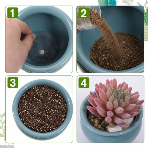 150PCS Plant Pot Drainage Hole Screens, Plant Pot Hole Mesh Pads Round Flower Pots Drainage Covers Prevent Soil Loss Bonsai Bottom Grid Mat for Succulents Bonsai, Indoor Plants & Repotting(2/3/4 Inch)