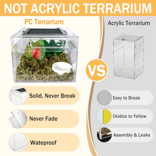 Reptile Terrarium, Jumping Spider Enclosure Starter Kit, Leopard Gecko Habitat Container, 8"x8"x7"Reptile Tank for Tarantula, Hermit Crab, Insect, Fish, Frog, Small Bearded Dragon, Lizard - size: 8"x8"x7"