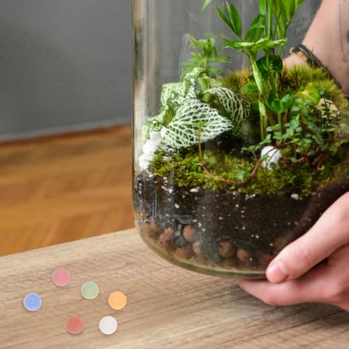 jojofuny Colorful Clay Pebbles and Small River Rocks for Indoor Plants Hydroponics 11-12mm Large Ceramic Balls Lightweight Growing Media for Succulent Planters and Terrarium Gardening