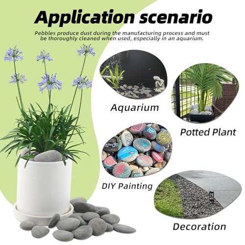 2.4LB River Rocks,Mexican Beach Pebbles for Plants,Potting,Garden Landscape Stone Paving Stone Grey 1Inch - 2Inch - size: 2.4LB, style: Large