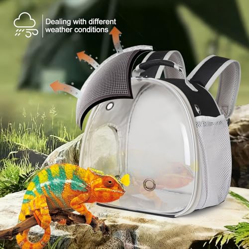 Bearded Dragon Travel Backpack with Harness and Leash Set,Lizard Backpack Travel Carrier,Space Capsule Clear Bubble Window Astronaut Reptile Carrier Backpack, Airline Approved - color: Black