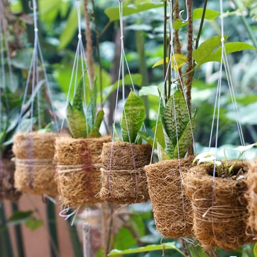 2 Rolls Coconut Fiber Liners for Planters 16x118 Natural Coco Coir Roll | Coco Fiber Pad for Hanging Flower Planters Baskets DIY Moss Pole Garden Decoration, Animal pet pad, Reptile Carpet, Snow Mat