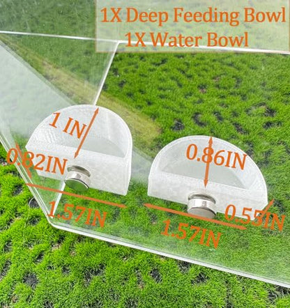 2 PCS Jumping Spider Feeding Dish, Tiny Food Dishes Water Dish with Tweezers，Eyedropper and Cleaning Brush for Jumping Spider, Tarantula and Other Small Pets, Half Round