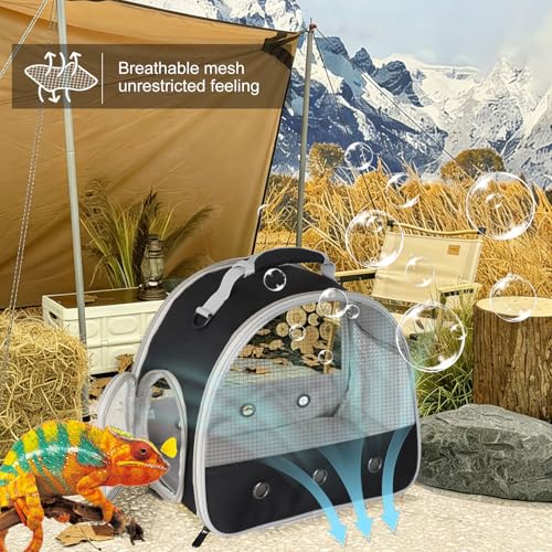 Ventilation Carrier for Bearded Dragon,Guinea Pig Carrier,Guinea Pig Carrier for 2,Reptile Travel Carrier for Lizards Sugar Glider Hedgehog Rat Parrot Birds,Airline Approved Black - color: Black