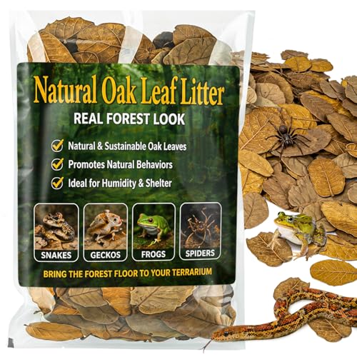 MAQIHAN 11oz Oak Leaf Litter - Dry Substrate for Reptile Isopod & Bioactive | Whole Natural Oak Leaves for Terrarium, Forest Floor Habitat, Premium Enclosure Bedding for Snake, Frog, Gecko, Lizard - size: 11.3 OZ