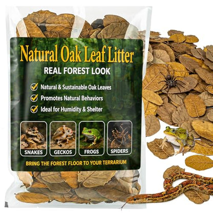 MAQIHAN 11oz Oak Leaf Litter - Dry Substrate for Reptile Isopod & Bioactive | Whole Natural Oak Leaves for Terrarium, Forest Floor Habitat, Premium Enclosure Bedding for Snake, Frog, Gecko, Lizard - size: 11.3 OZ