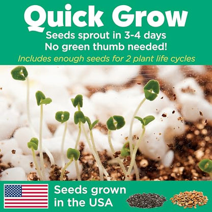 Creativity for Kids Grow 'N Glow Terrarium Kit - Educational Science Kits | Screen Free Summer Fun Activities | Gifts for Boys and Girls | Craft and STEM Projects (Ages 6+)
