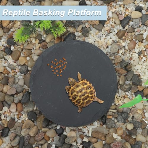 Reptile Basking Platform, Round Tortoise Habitat Slate, Turtle Feeding Slate, Habitat Decor Accessories for Crested Gecko Lizard, Gray Black