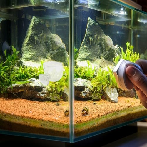 GANAZONO 2pcs Aquarium Fish Food Cup Set with Floating Acrylic Feeder Rings, Fish Feeding Device for Tank, Suitable for Frozen Bloodworms and Brine Shrimp Feeding in Home Aquariums