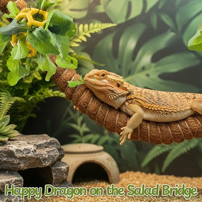 Bearded Dragon Climbing Bridge with Veggie Feeder Ball – Bendable Vine Enrichment Route for Large Tanks, Greens Intro Kit, Reptile/Lizard Tank Accessories (Salad Feeder Ball) - color: Salad Feeder Ball