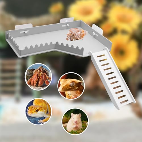 No-Drill Climbing Platform with Ramp, Hermit Crab Climbing Wall & Hideout, Multi-Level Platform with Ladder, No-Tools Mounting for Geckos, Small Lizards, Hamsters, Grey - color: Gray