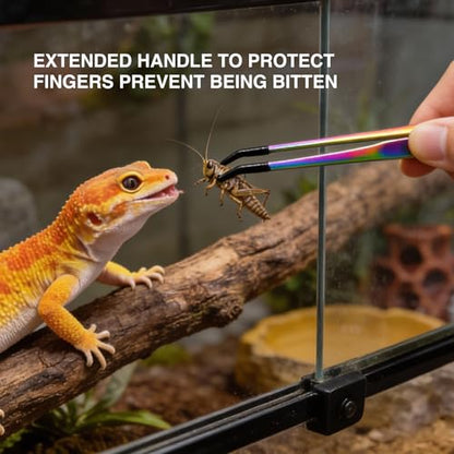 Reptile Feeding Tongs 2 Pack - 10.6 Inch Stainless Steel Straight & Curved Tweezers with Rubber Tips for Bearded Dragons, Lizards, Aquariums & Crafts - Terrarium Supplies