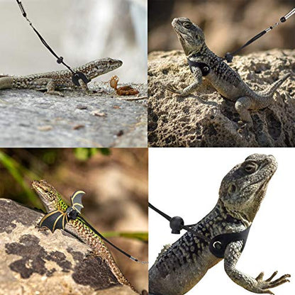 4 PCS Adjustable Bearded Dragon Harness and Leash, 2 Style 3 Size Adjustable Reptile Lizard Leash, 2 PCS Feeding Tweezers for Lizard Reptiles Amphibians Small Pet Animals
