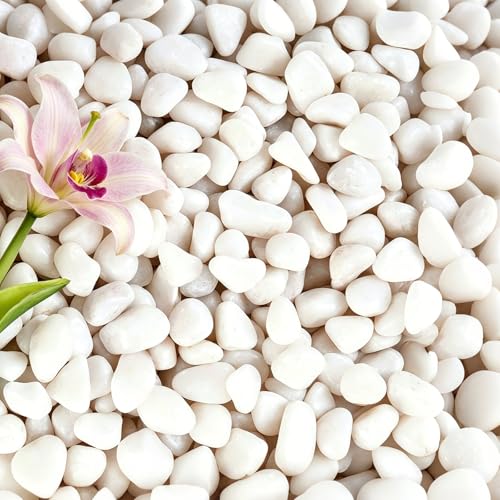 20 lbs White Gravel, 1/2 Inch Garden Pebbles, Polished Pebbles,Decorative Rocks for Potted Plants,Suitable for Vases, Cactus Potted Plants, Fish Tanks - color: White, size: 1/2 Inch 20 LB