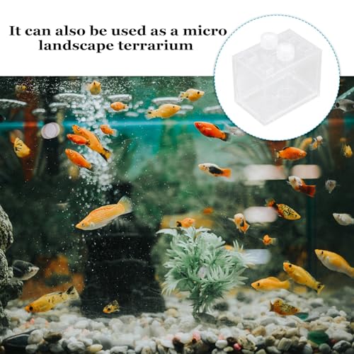 HOMSFOU Mini LED Light-up Acrylic Aquarium Kit, Small Desktop Terrarium with Full Spectrum LED Light, Creative Micro Aquatic Ecosystem for Home and Office Decor
