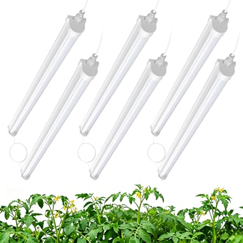 JESLED 2FT Grow Lights, 5000K Full Spectrum Sunlight White, V-Shaped Beam | 144W(6 X 24W), 900W Equiv, On/Off Switch, T8 LED Grow Light Strips for Seed Starting, Greenhouse, Growing Shelf, 6-Pack - size: 2FT-6P