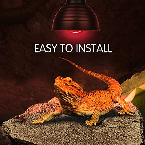 Infrared Heat Lamp Bulbs 100W 2 Pack,Red Basking Spot Light Bulb Reptile Heating lamp for Bearded Dragon,Turtle,Snake,Leopard Gecko,Chicked with Digital Temperature Thermometer - style: 100W(2 Pack)