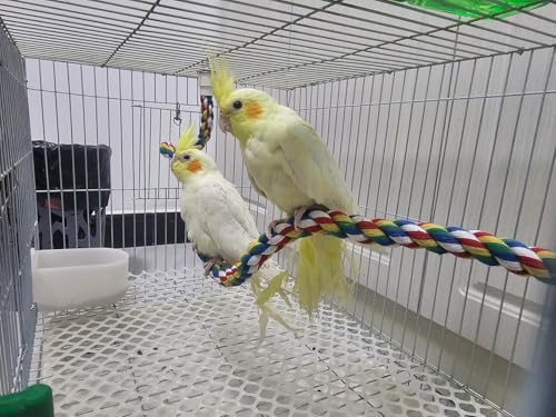 31.5'' Bendable Climbing Bird Rope Perch for Cage, Metal Nut | Bird Cage Accessories, Cotton Rope, Colorful Fun Bungee Toy, For Parrot