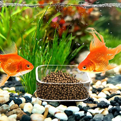 WEAVERBIRD Aquarium Shrimp Feeder Dish Fish Tank Feeding Bowls Glass Square Clear Dish Tray Plate