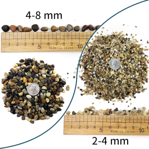 5LB Coarse Sand, Colored Rocks Pebbles, Quartz Sand for Cactus Bonsai, Succulent Plant Bonsai Paving, Vase Filling Decoration, Natural Sand for Fish Tank Decoration Paving(2-4mm) - size: 5LB, style: 2-4MM