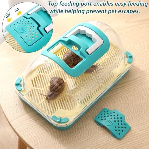 Snail Terrariums Breeding Box, Plastic Habitat Tank Starter Kit for Small Reptile, Rectangle Clear Snail Enclosure with Handle & Air Vents, Feeding Box for Beetles Spider Praying Mantis