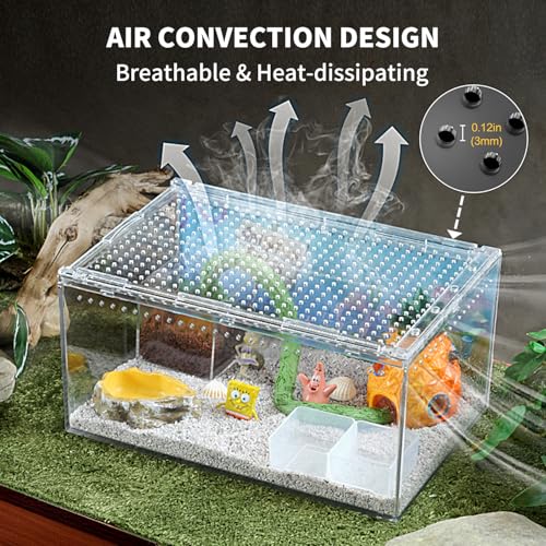 Reptile PC Terrarium 8" x 6" x 4", Tarantula Enclosure,Spider Tank Starter Kit, Hermit Crab Habitat,Lizard Enclosure,Insect Housing,Jumping Spider Cage (Small) - size: 8" x 6" x 4"