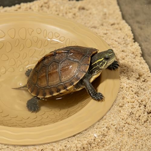 Reptile Bathing Pool with Pet Food Feeding Plate, Embedded Turtle Bathing Pool with Ramp Reptile Feeding Dish Water Bowl Habitat Accessories for Gecko, Snake, Turtle, Bearded Dragon, Lizard Bath