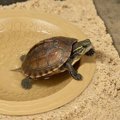 Reptile Bathing Pool with Pet Food Feeding Plate, Embedded Turtle Bathing Pool with Ramp Reptile Feeding Dish Water Bowl Habitat Accessories for Gecko, Snake, Turtle, Bearded Dragon, Lizard Bath