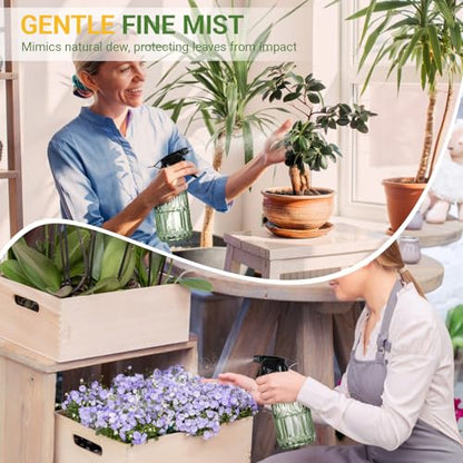 Glass Plant Mister Bottle - 13.5 oz Refillable Leak Proof Water Spray Bottle for Indoor Plants, Spring Gardening,Cleaning, Hair, Pets Care with Adjustable Mist Nozzle (Green) - color: Green