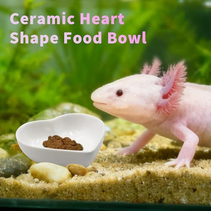 2-in-1 Axolotl Tank Accessories Set, Transparent Acrylic Shelf with Suction Cups and Adhesive Pads, Ceramic Heart Shape Feeding Dish, Food Bowl for Axolotl, Habitat Aquarium Decor