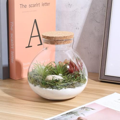 KALLORY Sealed Glass Plant Bottle with Cork Stopper for Miniature Ecosystems 15Cm X 16Cm Round Glass Terrarium Container for Home Garden Decor