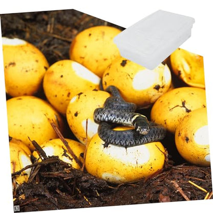 BESPORTBLE 20Grids Reptile Hatching Box Plastic Incubation Tray for Up to Eggs for Breeding Geckos Snakes and Lizards Lightweight and Portable