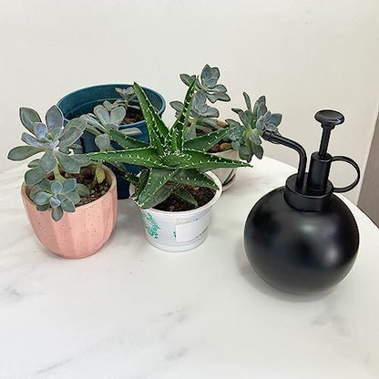 Stainless Steel Plant Sprayer, Small Watering Can, Modern Gardening Tool for Indoor Potted Plants - color: 17oz/matte black