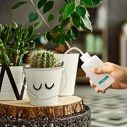 ONEDONE Watering Can Indoor Plants - Plant Watering Can 34 OZ, Long Spout Small Watering Can for House Plants Garden Potted Flowers with Spray Bottle, Squeeze Bottle Green - color: Green