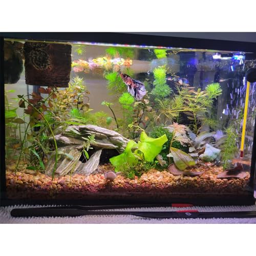 15 inch LED Aquarium Light, 8W Fish Tank Light Underwater Light Submersible Crystal Glass Lights, 9.2ft/2.8m Long Wire Length, White - size: 15 inch
