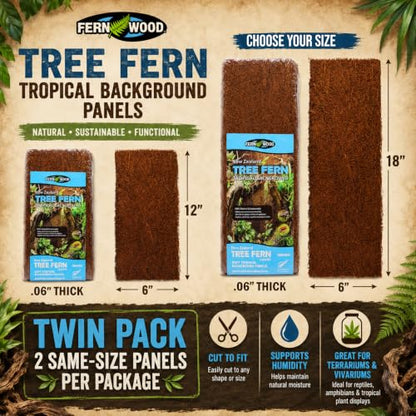 Fernwood - Vivarium and Terrarium Background Panels - 2 Pack - 18x6x.06 | Backdrop For Reptile, Amphibian, and Botanical Tanks - Made from New Zealand Tree Fern - Natural and Fibrous - size: Long 18x6x.06
