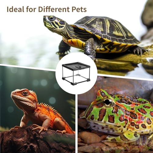 Mini Reptile Glass Terrarium 7.9 x 7.9 x 5.7, Full View Rainforest Vivarium Tank, Stackable Amphibian Enclosure Cage for Turtles, Geckos, Frogs, Hermit Crabs, No Installation Needed - size: 7.9"L x 7.9"W x 5.7"H