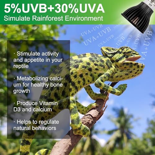UVB Reptile Light Bulb 5.0, 5W LED High Intensity UV Replacement Lamp Bulbs for Tropical Reptiles Bearded Dragon Hermit Crab Turtle Leopard Gecko Tank Chameleons Iguanas Snake - 1 Pack - size: UVB5.0