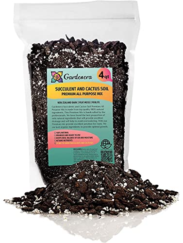 Professional Succulent Soil Premium All Purpose Blend | Pre-Mixed Ready to Use for Cactus and Succulents | Sphagnum Peat Moss, Perlite, New Zealand Pine Bark - Made in USA - 4 Quart - size: 4 Quart Bag, style: Professional Succulent Soil Blend